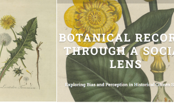 Botanical records through a social lens