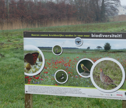 Biodiversiteit in Nederland