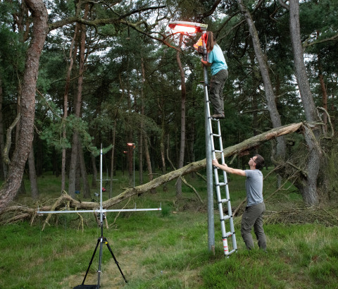 Lichtonderzoekers