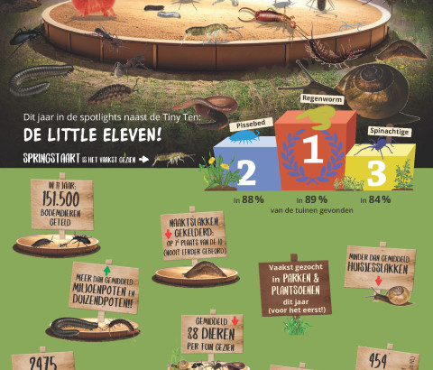 Infographic resultaten Bodemdierendagen 2025