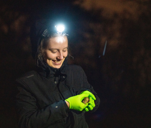 Maaike van der Zanden met pad