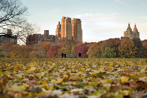 Central Park