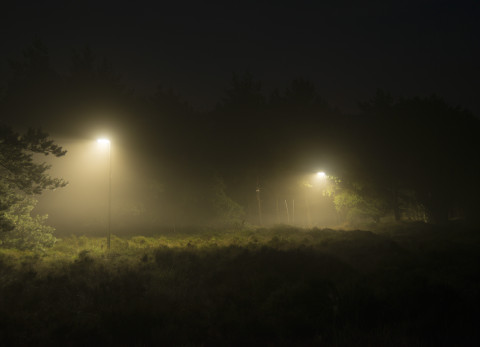Hijkerveld
