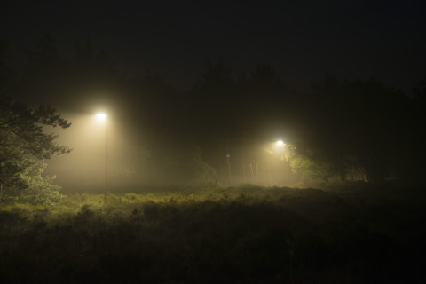 Hijkerveld
