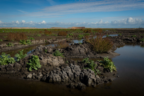 Marker Wadden 2018