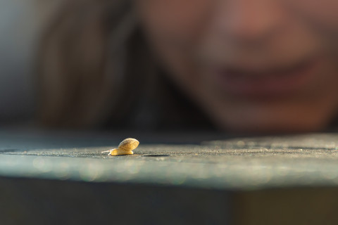 Bodemdierendagen 2020: banner