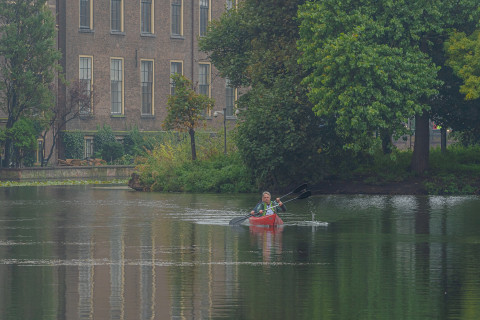 Bodemdieren zoeken op de Hofvijver