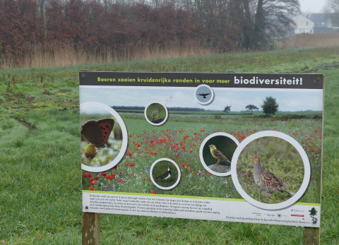 Biodiversiteit in Nederland