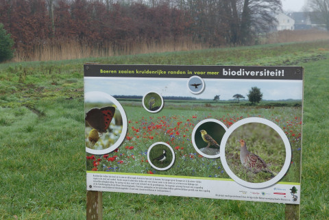 Biodiversiteit in Nederland