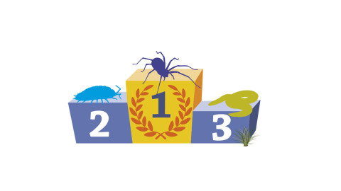 Winnaarspodium Bodemdierendagen 2021
