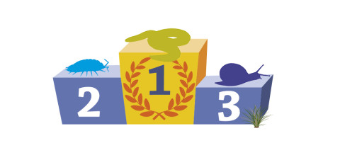 Winnaarspodium Bodemdierendagen 2020