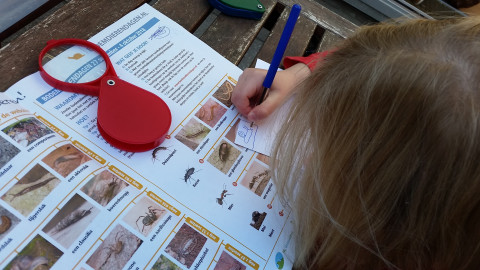 Bodemdieren zoeken met de zoekkaart