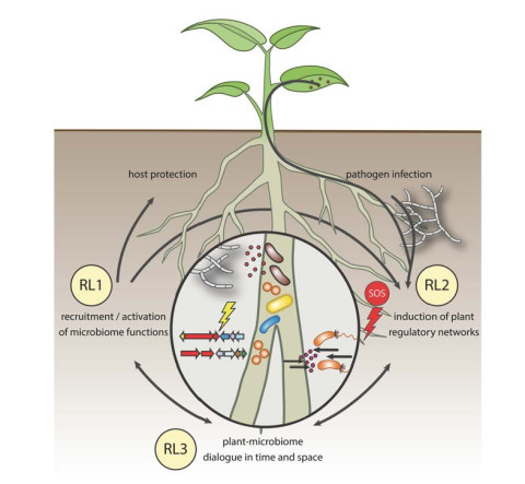 Hoe planten hulp regelen
