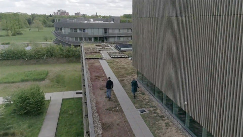 Vroege Vogels in Wageningen