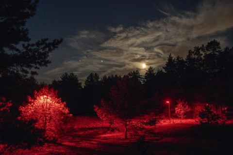The study of light colour impact