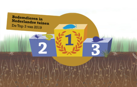 Top-3 van Bodemdierendagen 2019
