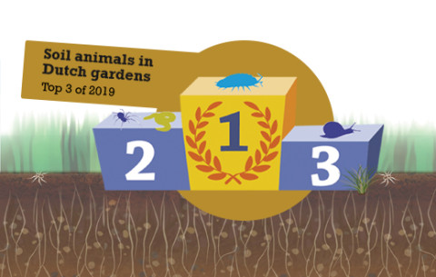 Top 3 Soil Animals in Dutch Gardens 2019
