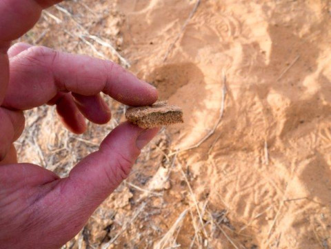 Botswana soil crust Elliott