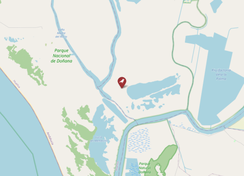 Map of Doñana