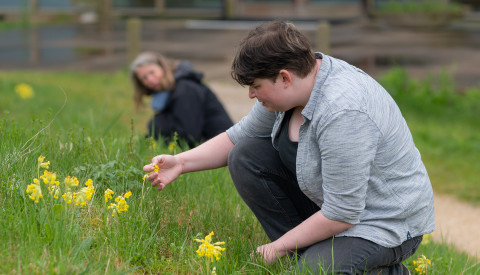 Gulden sleutelbloemen (Kim en Froukje)