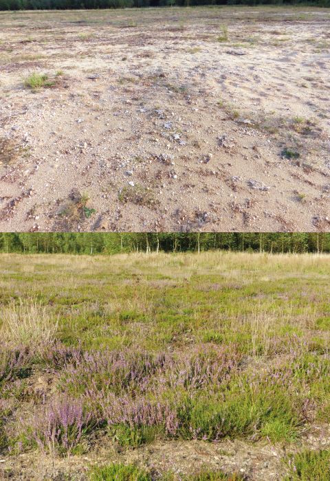 Field exp photos