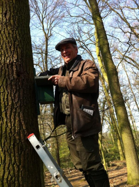 Meneer op ladder