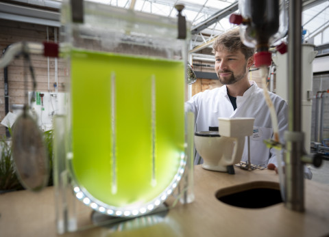Algenbioreactor voor afvalwaterzuivering