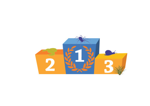 Podium2017