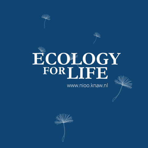 Ecology for life!