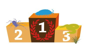 Bodemdierenpodium 2016