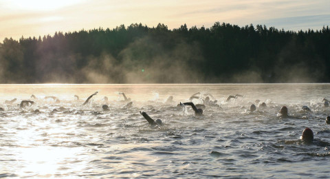 Open water swimming (Finland)
