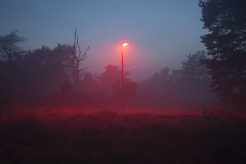 Lantaarnpaal met rood licht