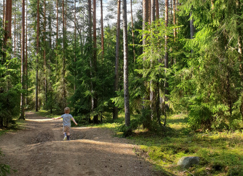 Hannula's child running in the woods in Finland