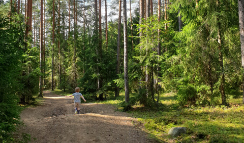 Hannula's child running in the woods in Finland