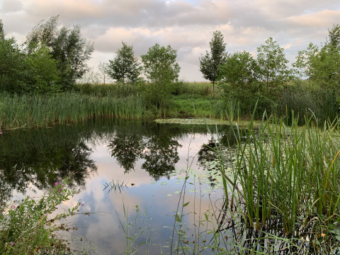 Een waterparel: water met een goede waterkwaliteit