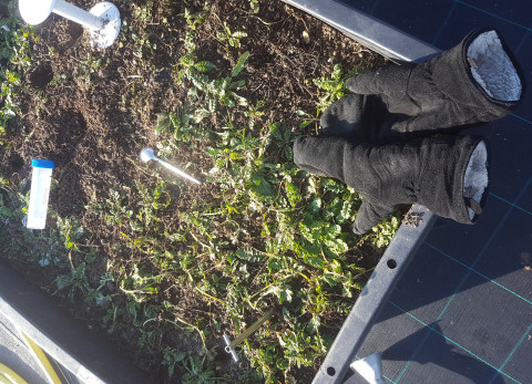 Soil sampling