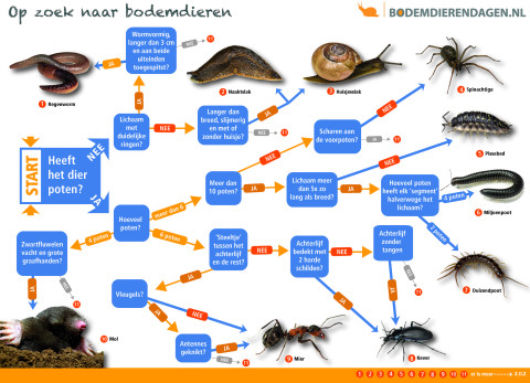 Zoekkaart bodemdieren