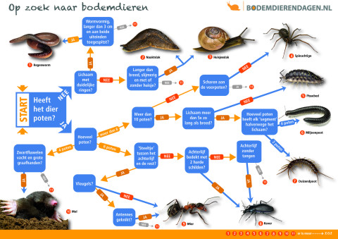 Zoekkaart bodemdieren
