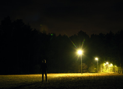 Wit licht voor het Licht op natuur project