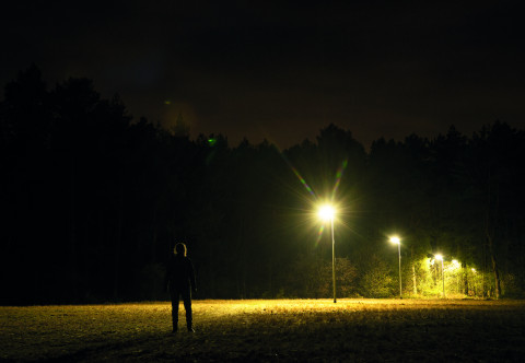 Wit licht voor het Licht op natuur project