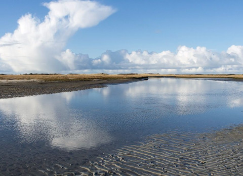 Waddensymposium