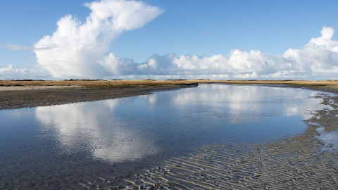 Waddensymposium