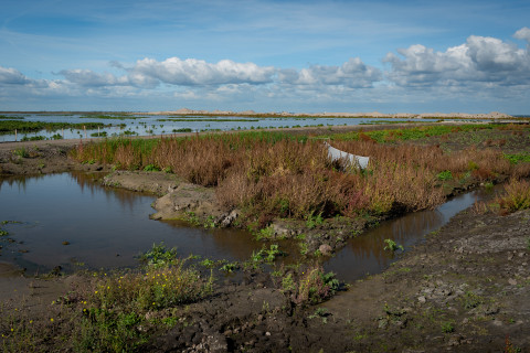 Marker Wadden 2018