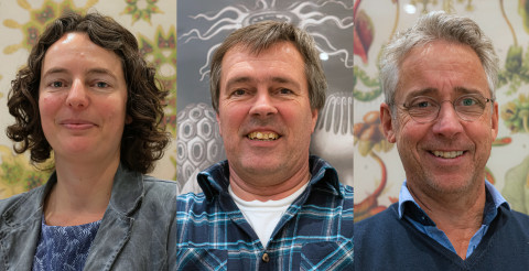After Haeckl: Liesbeth, Gerard & Jos