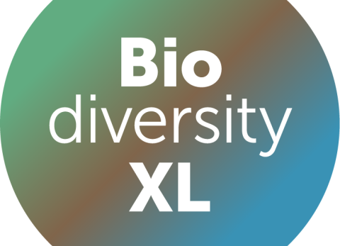 BiodiversityXL avatar