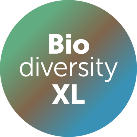 BiodiversityXL avatar