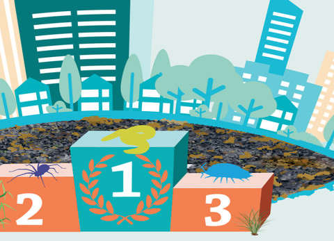 Banner Bodemdierentop 2022 (plat)