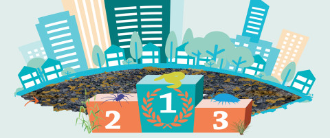Banner Bodemdierentop 2022 (plat)