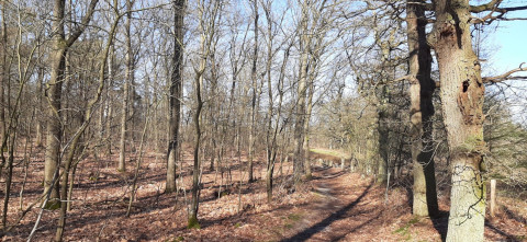 Beleef de Lente blog landschap (2)