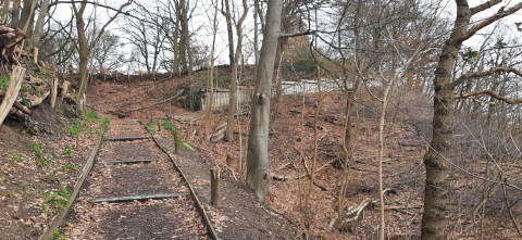 Beleef de Lente blog landschap